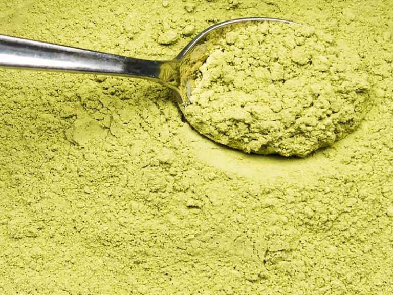 History of Spray Drying